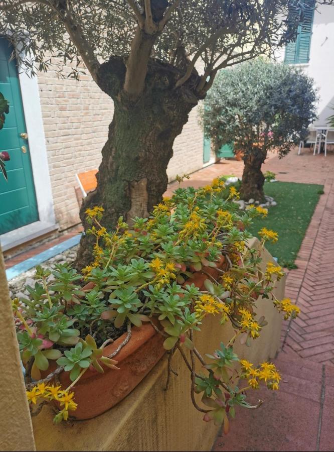 B&B La Chicca Равенна Екстер'єр фото